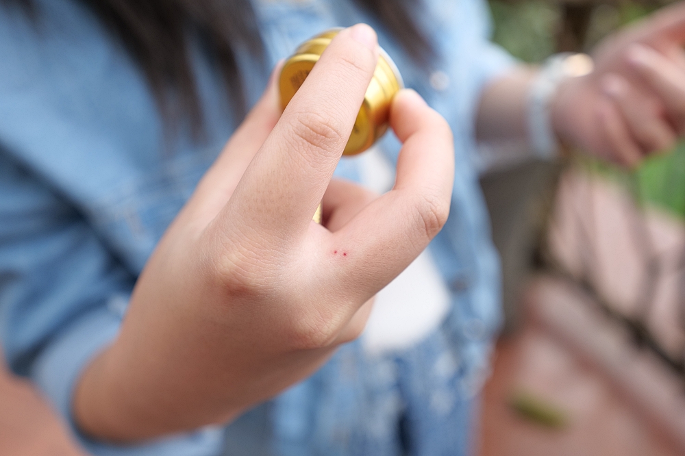 【清邁景點】 巨樹咖啡廳:走過吊橋,在百年巨樹上喝咖啡的奇幻體驗 @捲捲頭 ♡ 品味生活 【清邁景點】 巨樹咖啡廳:走過吊橋,在百年巨樹上喝咖啡的奇幻體驗 @捲捲頭 ♡ 品味生活