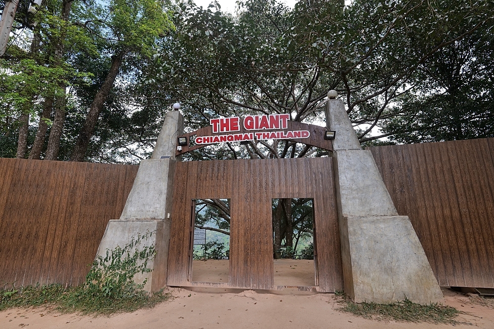 【清邁景點】 巨樹咖啡廳:走過吊橋,在百年巨樹上喝咖啡的奇幻體驗 @捲捲頭 ♡ 品味生活 【清邁景點】 巨樹咖啡廳:走過吊橋,在百年巨樹上喝咖啡的奇幻體驗 @捲捲頭 ♡ 品味生活