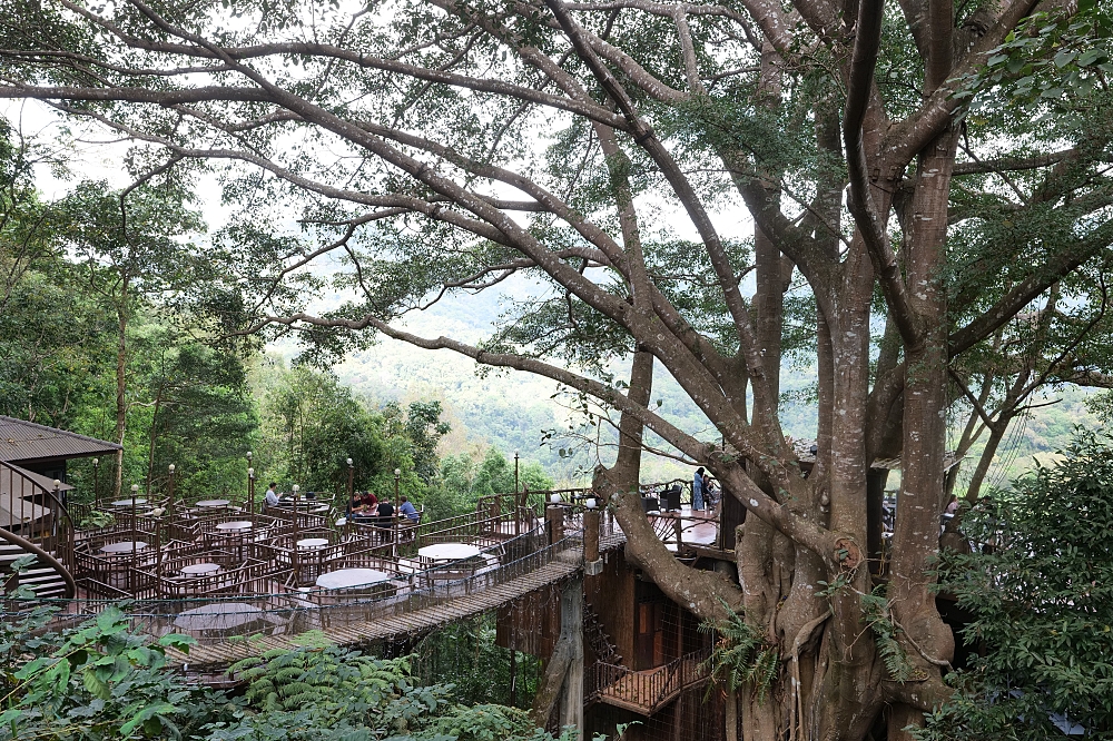【清邁景點】 巨樹咖啡廳:走過吊橋,在百年巨樹上喝咖啡的奇幻體驗 @捲捲頭 ♡ 品味生活 【清邁景點】 巨樹咖啡廳:走過吊橋,在百年巨樹上喝咖啡的奇幻體驗 @捲捲頭 ♡ 品味生活
