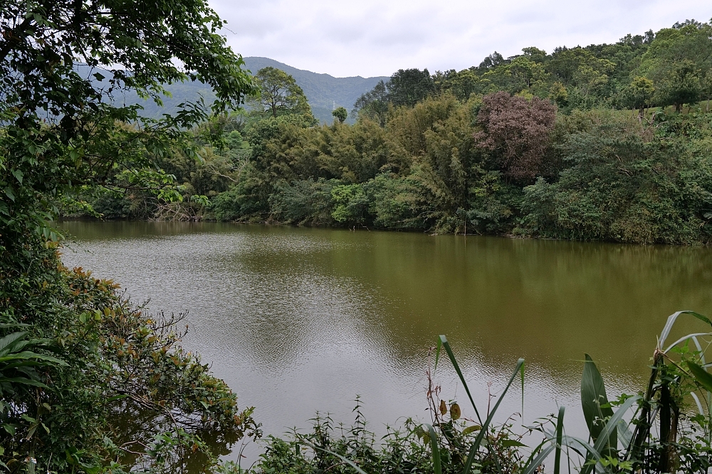【礁溪景點】 林美石磐步道:礁溪森林秘境,小瀑布與清涼溪流一日遊 @捲捲頭 ♡ 品味生活 【礁溪景點】 林美石磐步道:礁溪森林秘境,小瀑布與清涼溪流一日遊 @捲捲頭 ♡ 品味生活