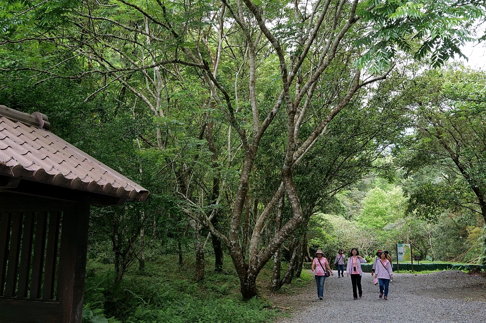 【礁溪景點】 林美石磐步道:礁溪森林秘境,小瀑布與清涼溪流一日遊 @捲捲頭 ♡ 品味生活 【礁溪景點】 林美石磐步道:礁溪森林秘境,小瀑布與清涼溪流一日遊 @捲捲頭 ♡ 品味生活