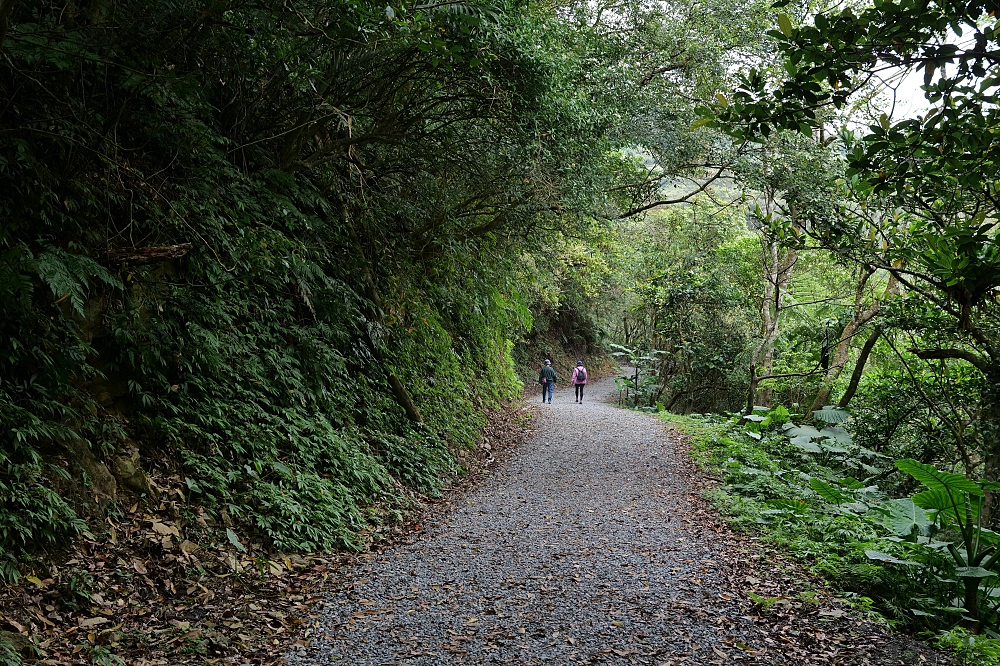 【礁溪景點】 林美石磐步道：礁溪森林秘境，小瀑布與清涼溪流一日遊 @捲捲頭 ♡ 品味生活
