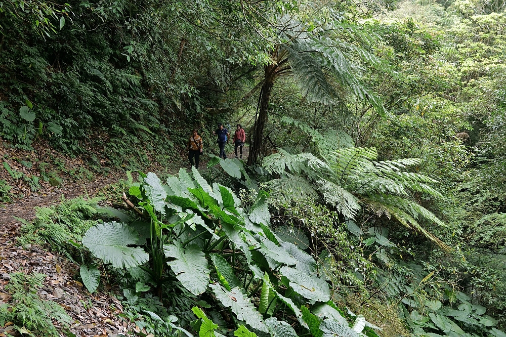 【礁溪景點】 林美石磐步道:礁溪森林秘境,小瀑布與清涼溪流一日遊 @捲捲頭 ♡ 品味生活 【礁溪景點】 林美石磐步道:礁溪森林秘境,小瀑布與清涼溪流一日遊 @捲捲頭 ♡ 品味生活