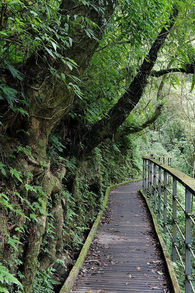 【礁溪景點】 林美石磐步道：礁溪森林秘境，小瀑布與清涼溪流一日遊 @捲捲頭 ♡ 品味生活