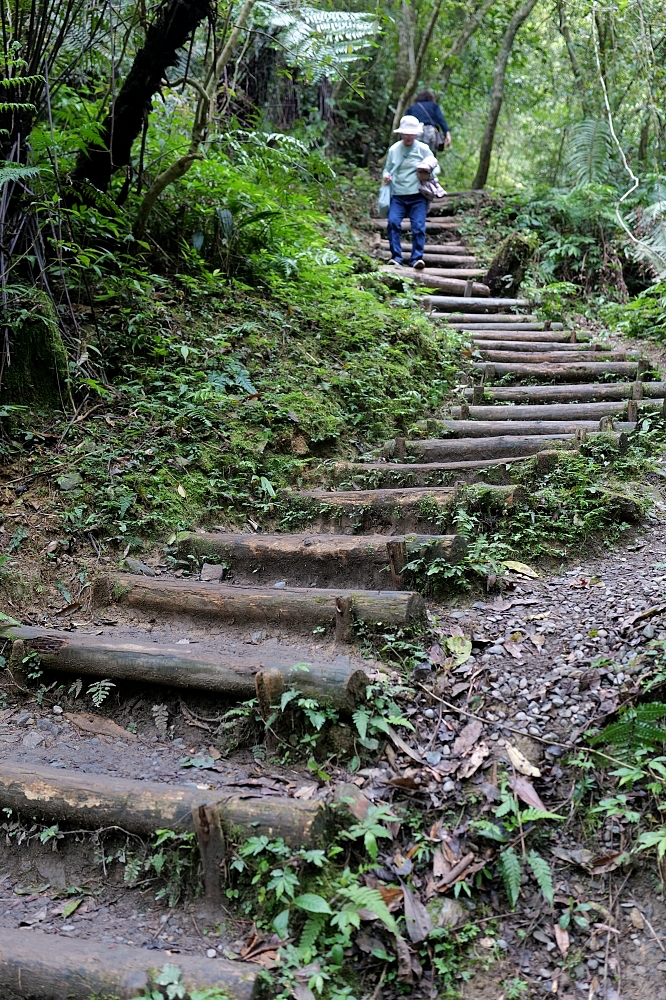 【礁溪景點】 林美石磐步道：礁溪森林秘境，小瀑布與清涼溪流一日遊 @捲捲頭 ♡ 品味生活