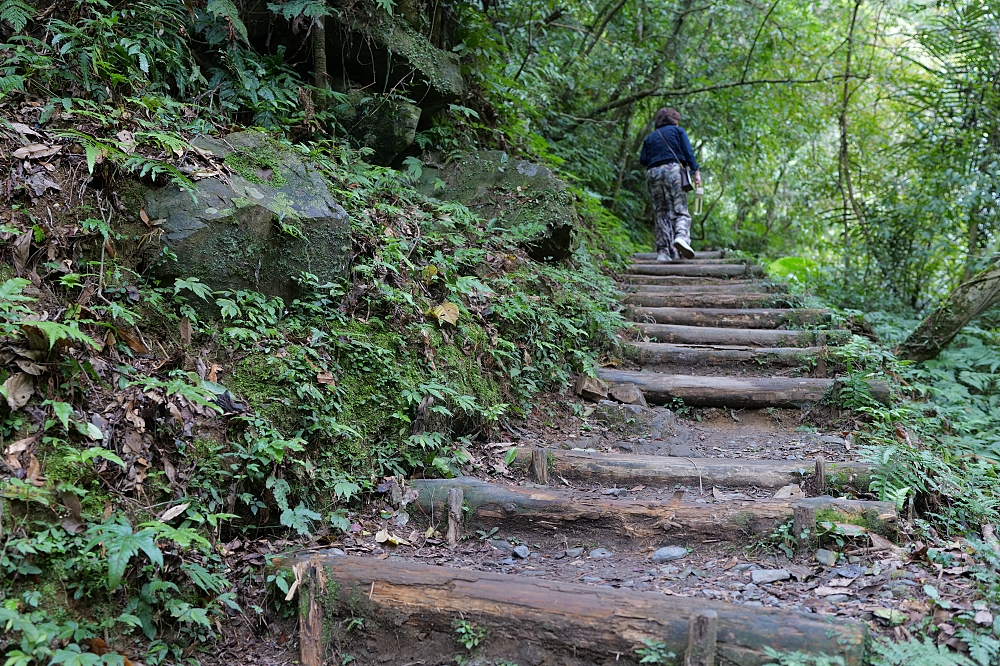 【礁溪景點】 林美石磐步道:礁溪森林秘境,小瀑布與清涼溪流一日遊 @捲捲頭 ♡ 品味生活 【礁溪景點】 林美石磐步道:礁溪森林秘境,小瀑布與清涼溪流一日遊 @捲捲頭 ♡ 品味生活