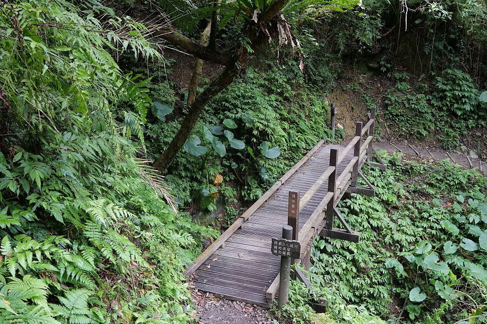 【礁溪景點】 林美石磐步道：礁溪森林秘境，小瀑布與清涼溪流一日遊 @捲捲頭 ♡ 品味生活