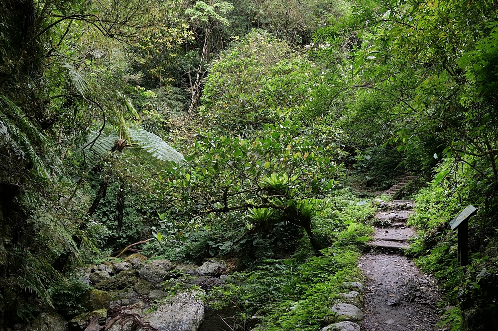 【礁溪景點】 林美石磐步道:礁溪森林秘境,小瀑布與清涼溪流一日遊 @捲捲頭 ♡ 品味生活 【礁溪景點】 林美石磐步道:礁溪森林秘境,小瀑布與清涼溪流一日遊 @捲捲頭 ♡ 品味生活
