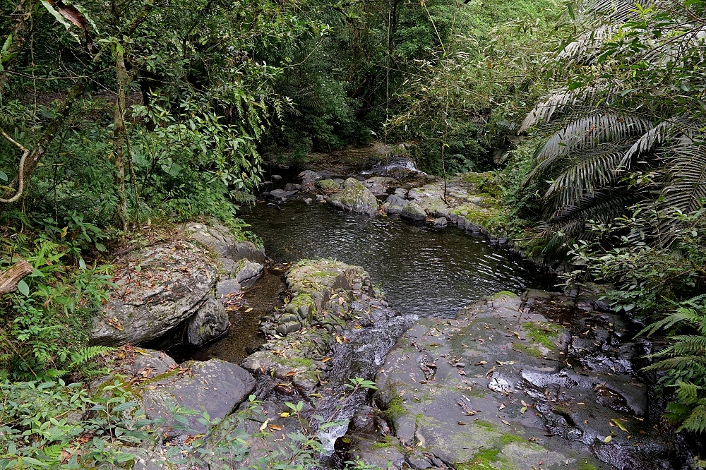 【礁溪景點】 林美石磐步道:礁溪森林秘境,小瀑布與清涼溪流一日遊 @捲捲頭 ♡ 品味生活 【礁溪景點】 林美石磐步道:礁溪森林秘境,小瀑布與清涼溪流一日遊 @捲捲頭 ♡ 品味生活