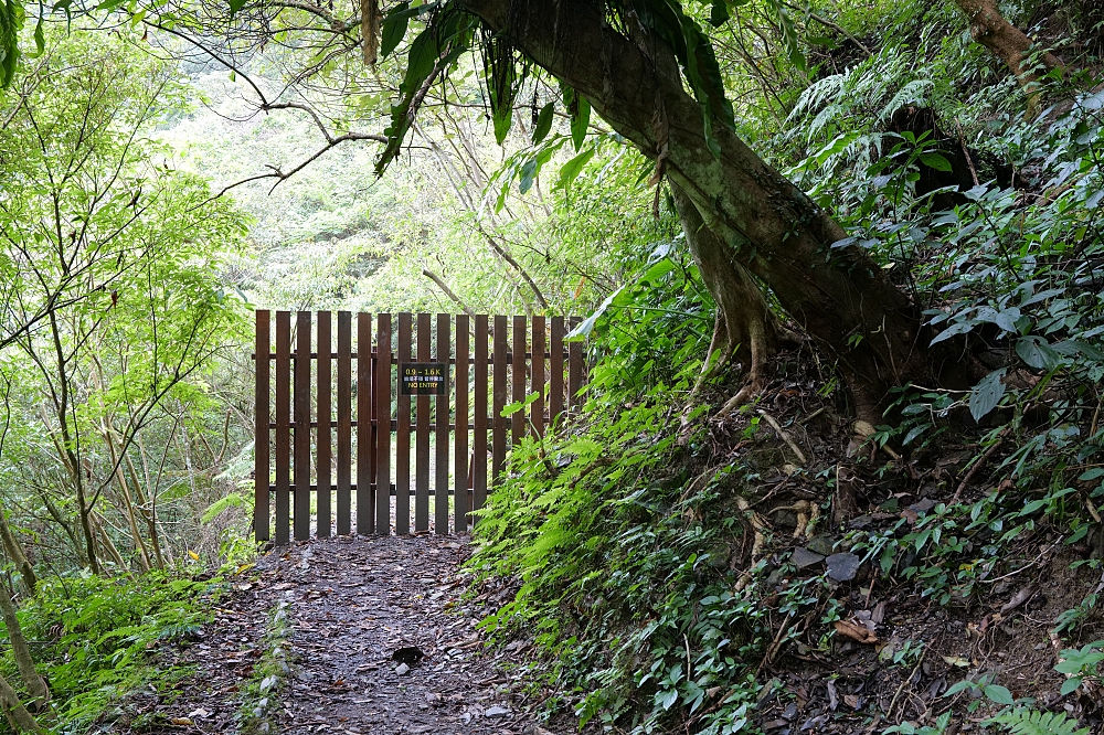 【礁溪景點】 林美石磐步道:礁溪森林秘境,小瀑布與清涼溪流一日遊 @捲捲頭 ♡ 品味生活 【礁溪景點】 林美石磐步道:礁溪森林秘境,小瀑布與清涼溪流一日遊 @捲捲頭 ♡ 品味生活