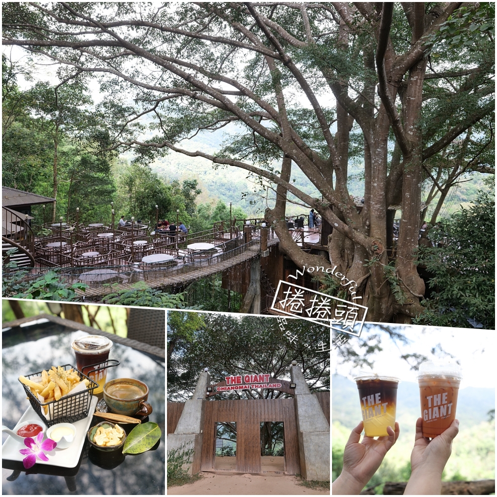 【清邁景點】 巨樹咖啡廳:走過吊橋,在百年巨樹上喝咖啡的奇幻體驗 @捲捲頭 ♡ 品味生活 【清邁景點】 巨樹咖啡廳:走過吊橋,在百年巨樹上喝咖啡的奇幻體驗 @捲捲頭 ♡ 品味生活