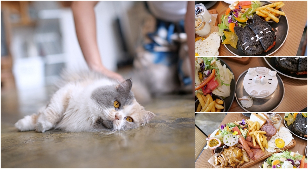 捲捲頭文章，登上親子天下雜誌～ @捲捲頭 ♡ 品味生活