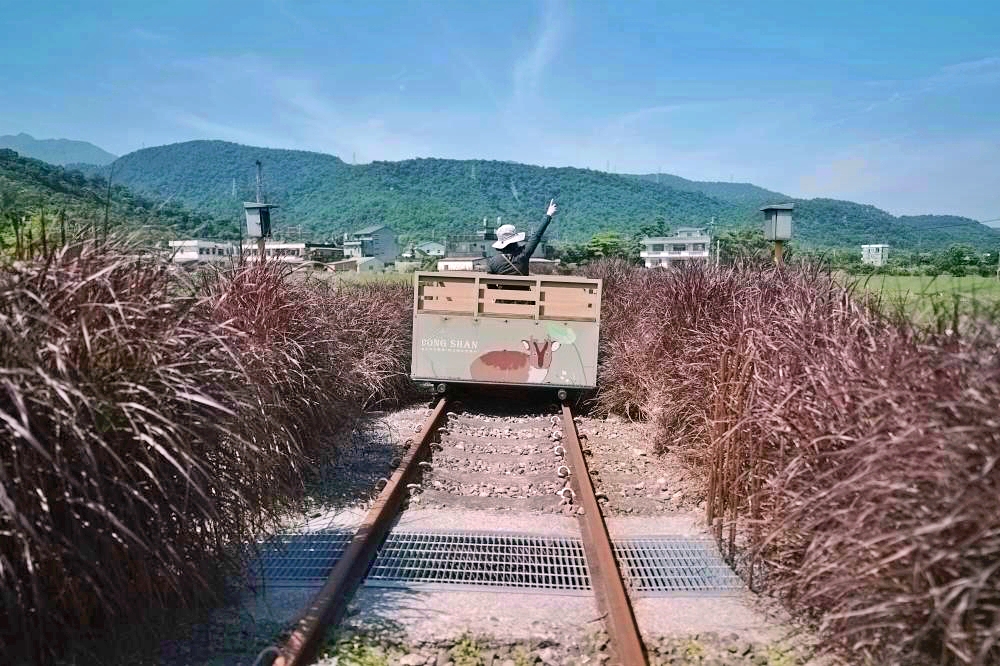 【宜蘭炸醬麵推薦】農權路炸醬麵：在地人激推的老字號便宜又好吃！ @捲捲頭 ♡ 品味生活