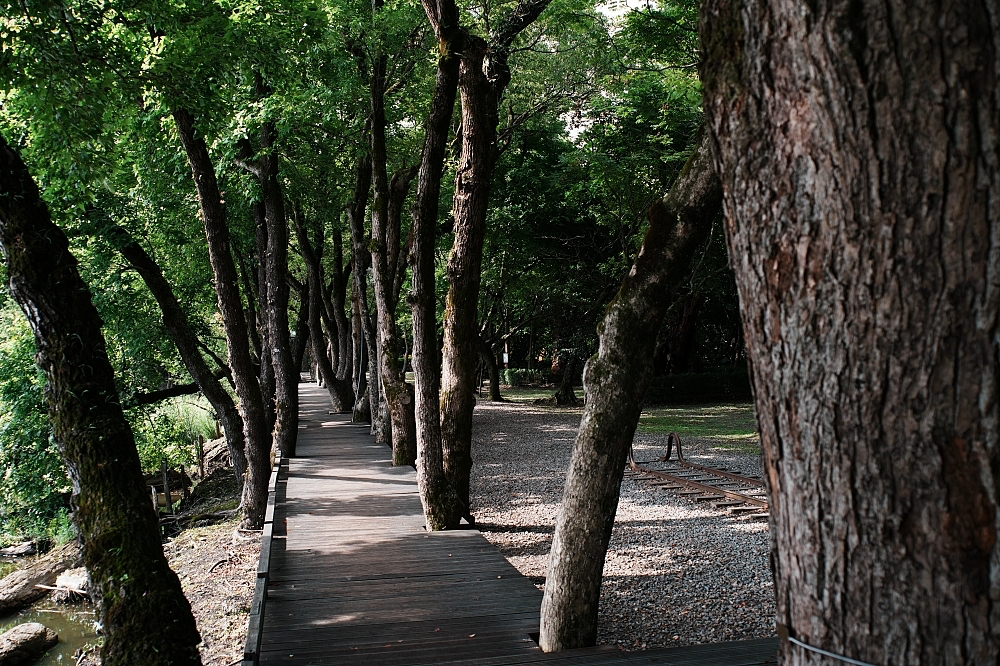 羅東林場一日遊｜免門票景點攻略：森林鐵道、木育森林、療癒原木玩具全收錄 @捲捲頭 ♡ 品味生活