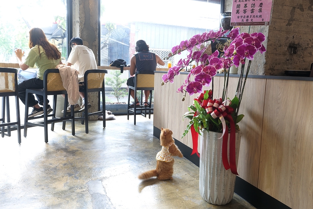 【宜蘭下午茶】 萬記商行路口店：宜蘭大學旁新開幕，超親人貓咪陪你喝咖啡 @捲捲頭 ♡ 品味生活