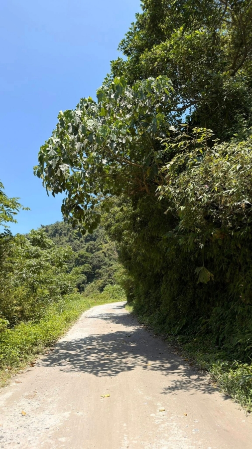 武荖坑林道第一戲水區：網傳溪流玩水秘境，清涼消暑在地人帶路 @捲捲頭 ♡ 品味生活