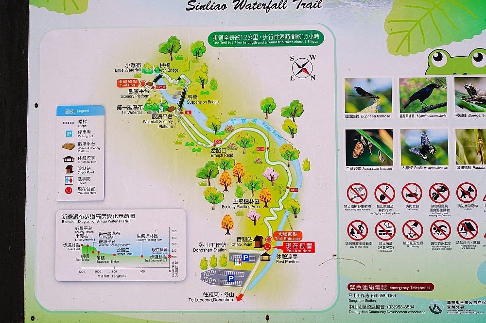 【新寮瀑布步道】親子健行首選，1小時飽覽雙瀑布美景 @捲捲頭 ♡ 品味生活