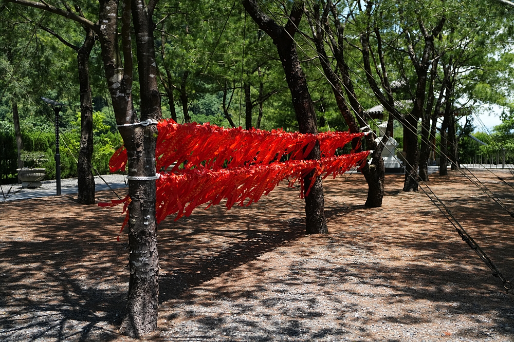 宜蘭東林寺｜比北后寺更安靜？冬山隱藏版鏡像大殿美翻了！ @捲捲頭 ♡ 品味生活