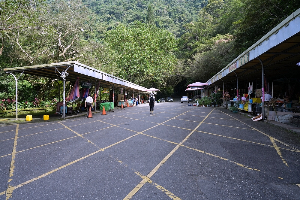 礁溪景點｜五峰旗瀑布，夏日避暑森林步道，交通攻略與最新路況分享 @捲捲頭 ♡ 品味生活