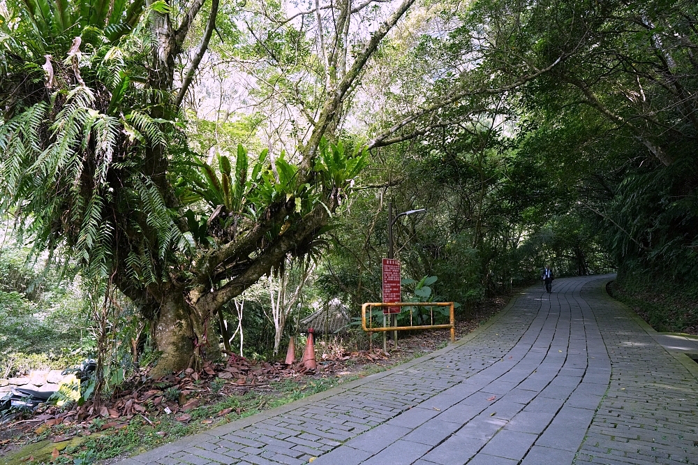 礁溪景點｜五峰旗瀑布，夏日避暑森林步道，交通攻略與最新路況分享 @捲捲頭 ♡ 品味生活