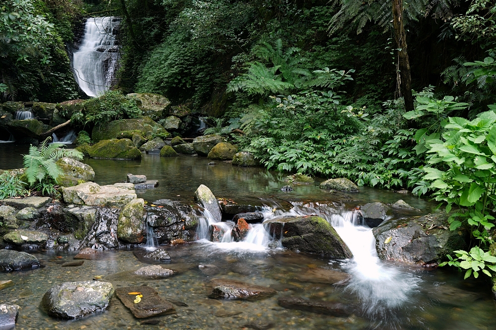 礁溪景點｜五峰旗瀑布，夏日避暑森林步道，交通攻略與最新路況分享 @捲捲頭 ♡ 品味生活