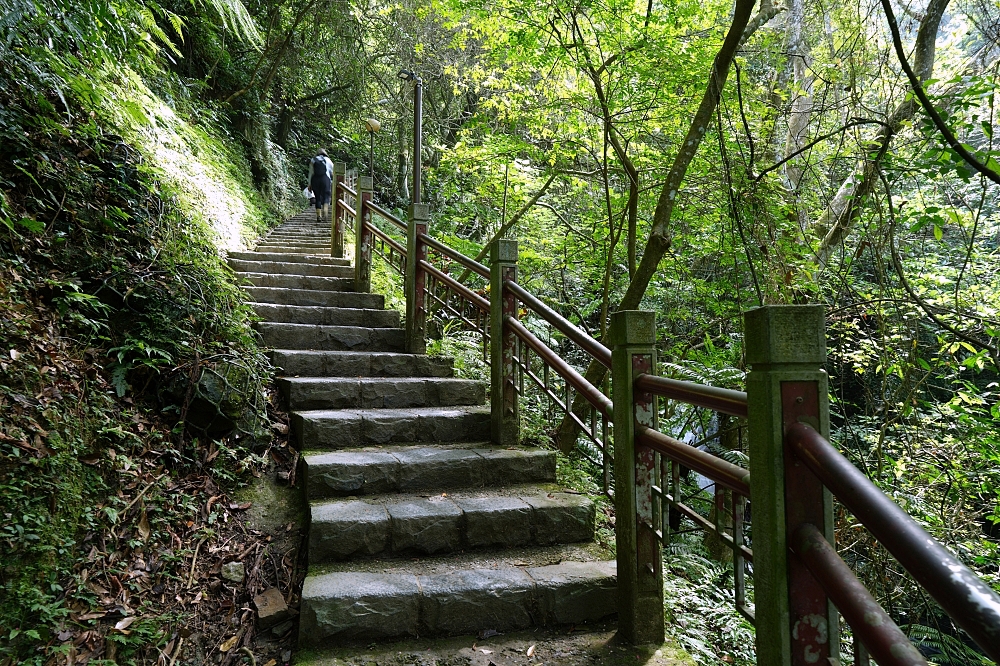 礁溪景點｜五峰旗瀑布，夏日避暑森林步道，交通攻略與最新路況分享 @捲捲頭 ♡ 品味生活