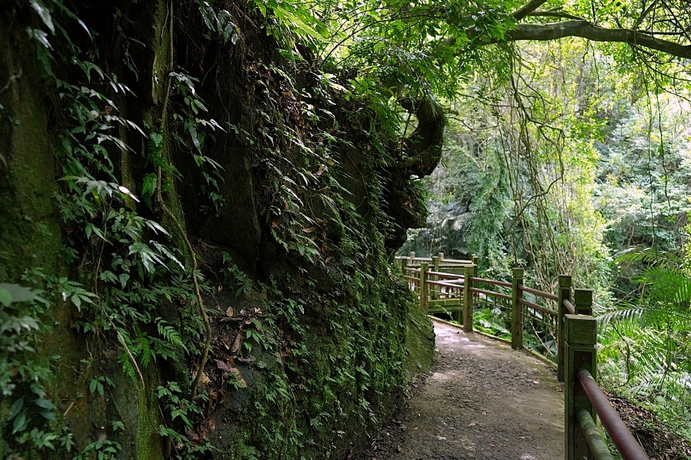 礁溪景點｜五峰旗瀑布，夏日避暑森林步道，交通攻略與最新路況分享 @捲捲頭 ♡ 品味生活