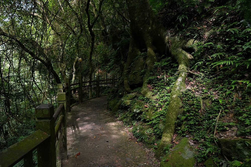 礁溪景點｜五峰旗瀑布，夏日避暑森林步道，交通攻略與最新路況分享 @捲捲頭 ♡ 品味生活