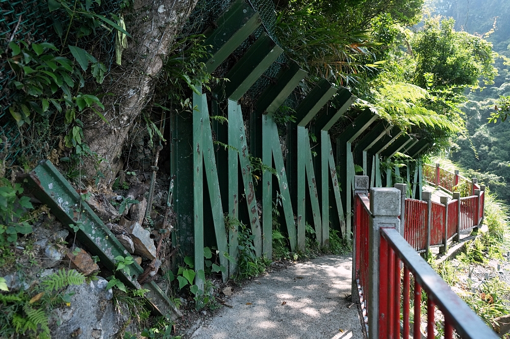 礁溪景點｜五峰旗瀑布，夏日避暑森林步道，交通攻略與最新路況分享 @捲捲頭 ♡ 品味生活
