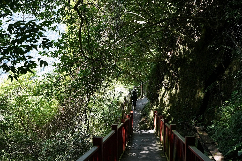 礁溪景點｜五峰旗瀑布，夏日避暑森林步道，交通攻略與最新路況分享 @捲捲頭 ♡ 品味生活
