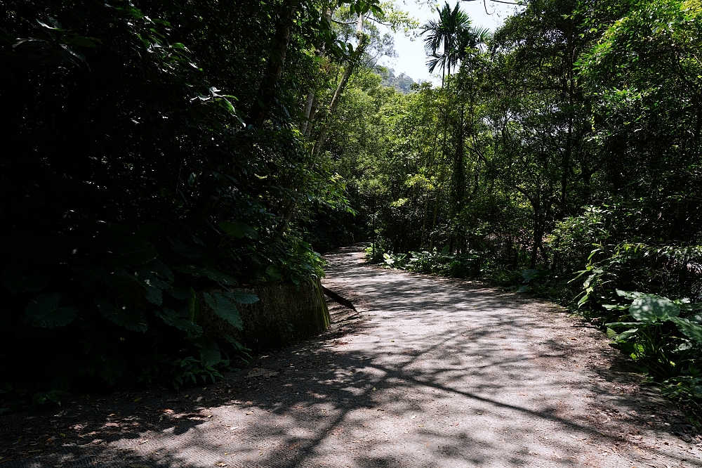 礁溪景點｜五峰旗瀑布，夏日避暑森林步道，交通攻略與最新路況分享 @捲捲頭 ♡ 品味生活