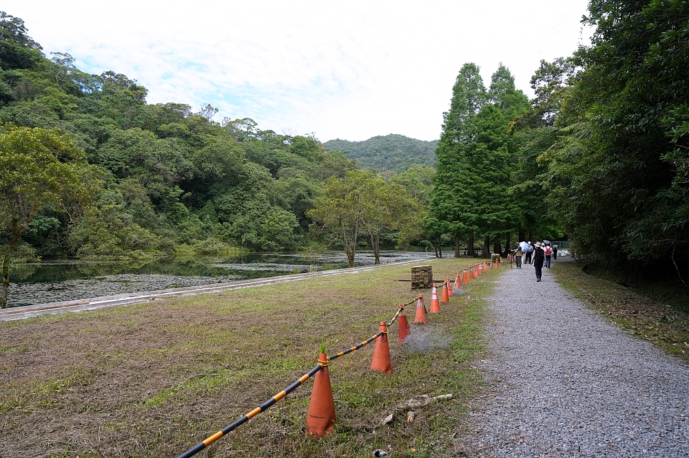 【福山植物園一日遊】森林系療癒秘境!免門票需預約,看正宗福山池與野生動物 @捲捲頭 ♡ 品味生活 【福山植物園一日遊】森林系療癒秘境!免門票需預約,看正宗福山池與野生動物 @捲捲頭 ♡ 品味生活