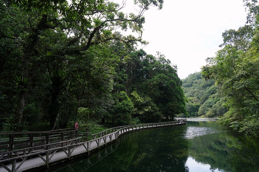【福山植物園一日遊】森林系療癒秘境!免門票需預約,看正宗福山池與野生動物 @捲捲頭 ♡ 品味生活 【福山植物園一日遊】森林系療癒秘境!免門票需預約,看正宗福山池與野生動物 @捲捲頭 ♡ 品味生活