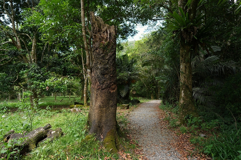 【福山植物園一日遊】森林系療癒秘境！免門票需預約，看正宗福山池與野生動物 @捲捲頭 ♡ 品味生活