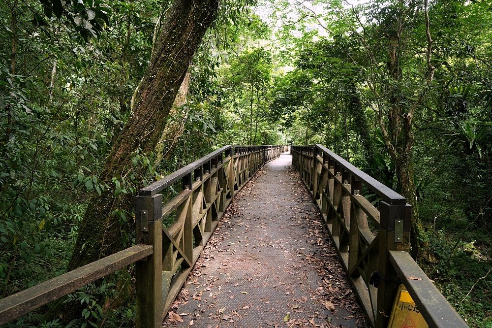 【福山植物園一日遊】森林系療癒秘境！免門票需預約，看正宗福山池與野生動物 @捲捲頭 ♡ 品味生活
