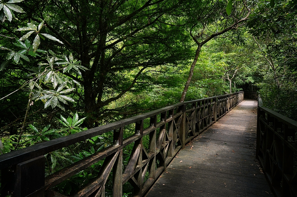 【福山植物園一日遊】森林系療癒秘境！免門票需預約，看正宗福山池與野生動物 @捲捲頭 ♡ 品味生活