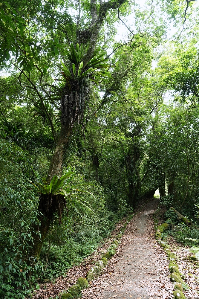 【福山植物園一日遊】森林系療癒秘境！免門票需預約，看正宗福山池與野生動物 @捲捲頭 ♡ 品味生活