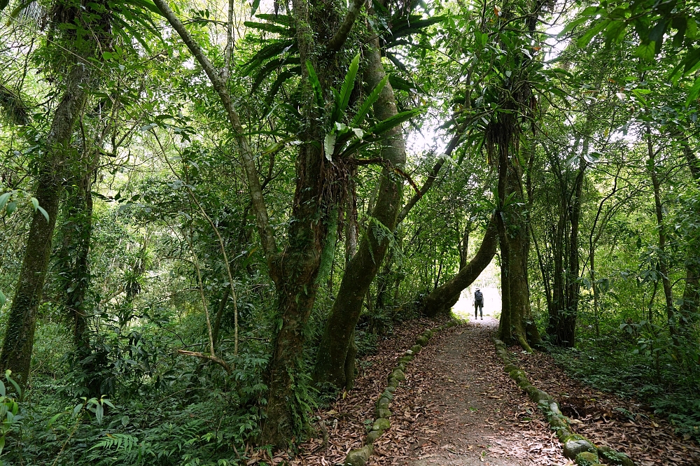 【福山植物園一日遊】森林系療癒秘境！免門票需預約，看正宗福山池與野生動物 @捲捲頭 ♡ 品味生活