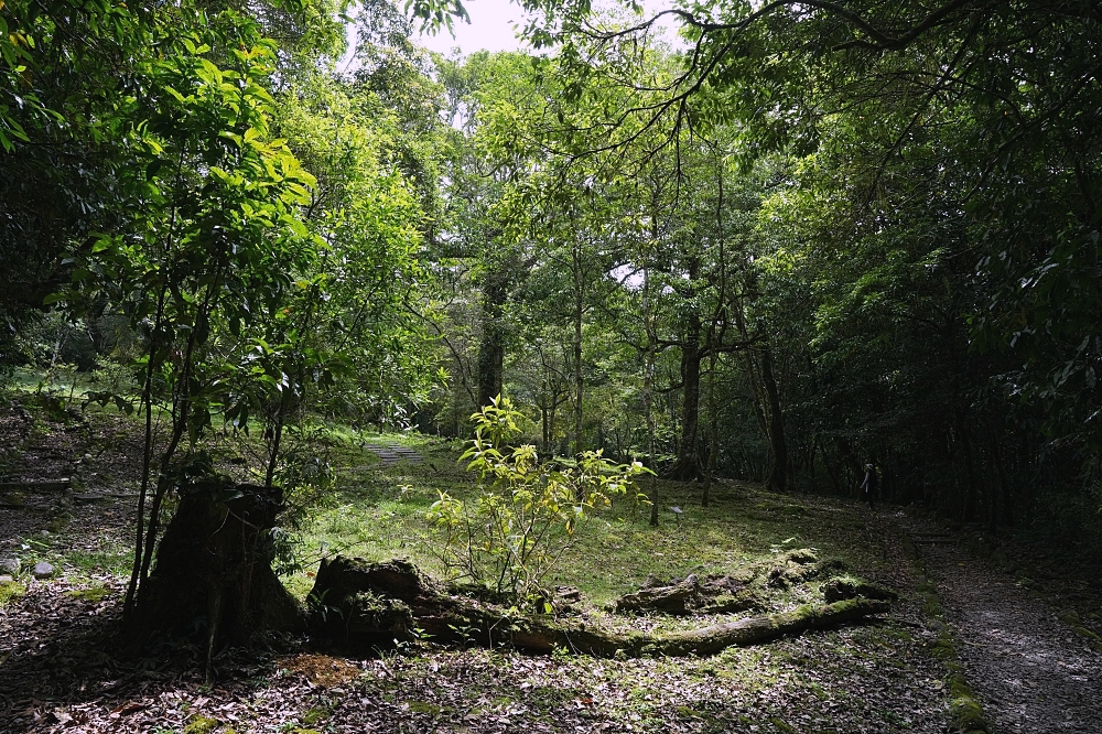 【福山植物園一日遊】森林系療癒秘境！免門票需預約，看正宗福山池與野生動物 @捲捲頭 ♡ 品味生活