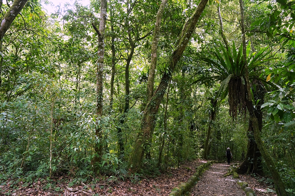 【福山植物園一日遊】森林系療癒秘境!免門票需預約,看正宗福山池與野生動物 @捲捲頭 ♡ 品味生活 【福山植物園一日遊】森林系療癒秘境!免門票需預約,看正宗福山池與野生動物 @捲捲頭 ♡ 品味生活
