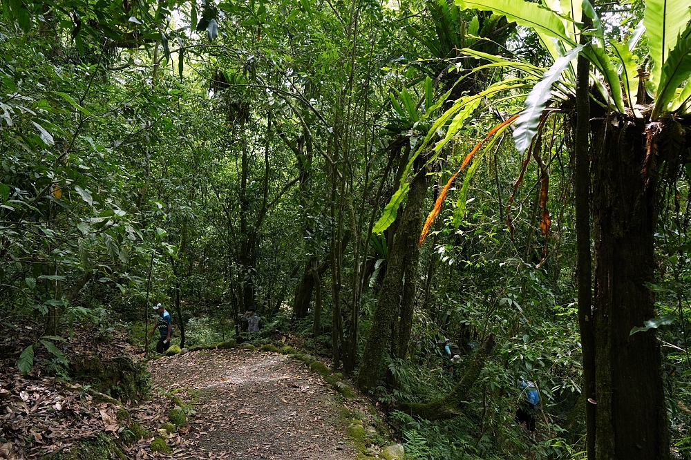 【福山植物園一日遊】森林系療癒秘境!免門票需預約,看正宗福山池與野生動物 @捲捲頭 ♡ 品味生活 【福山植物園一日遊】森林系療癒秘境!免門票需預約,看正宗福山池與野生動物 @捲捲頭 ♡ 品味生活