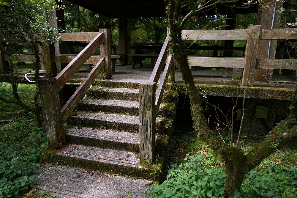【福山植物園一日遊】森林系療癒秘境!免門票需預約,看正宗福山池與野生動物 @捲捲頭 ♡ 品味生活 【福山植物園一日遊】森林系療癒秘境!免門票需預約,看正宗福山池與野生動物 @捲捲頭 ♡ 品味生活