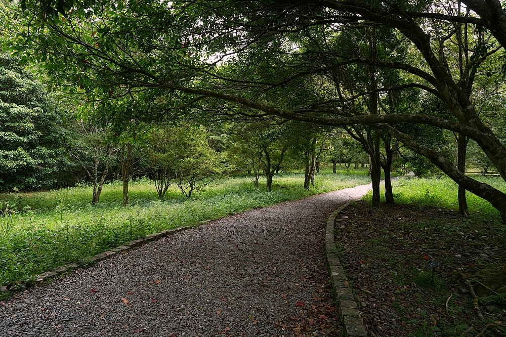 【福山植物園一日遊】森林系療癒秘境！免門票需預約，看正宗福山池與野生動物 @捲捲頭 ♡ 品味生活