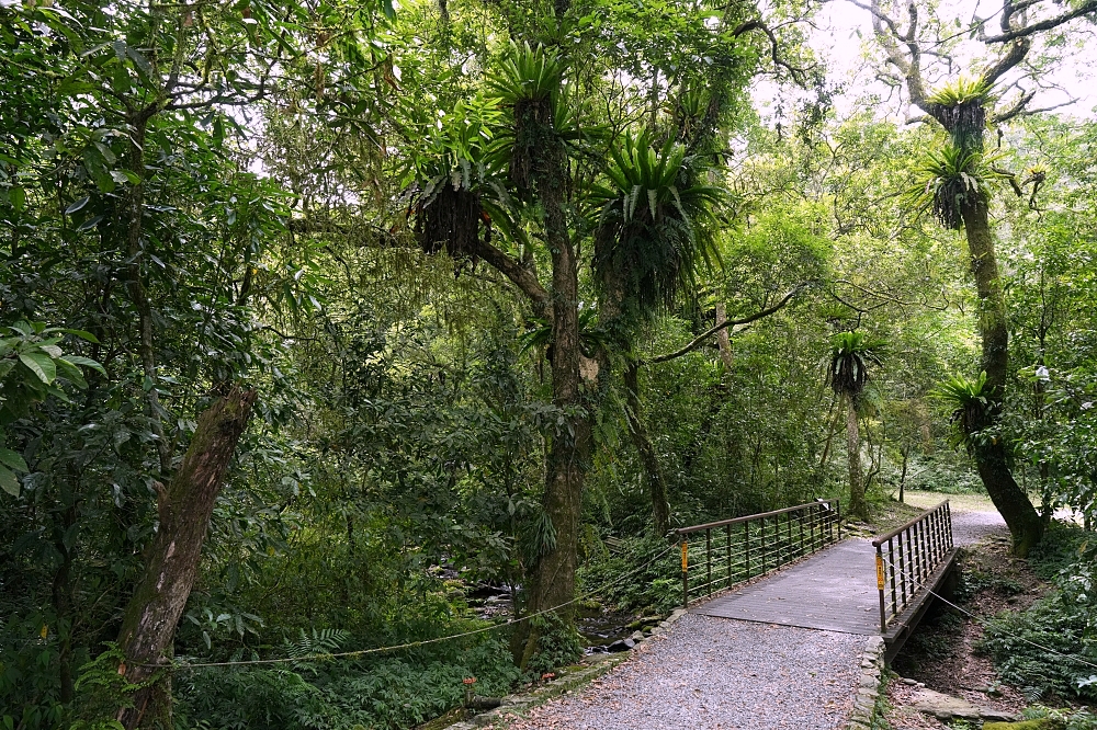 【福山植物園一日遊】森林系療癒秘境！免門票需預約，看正宗福山池與野生動物 @捲捲頭 ♡ 品味生活