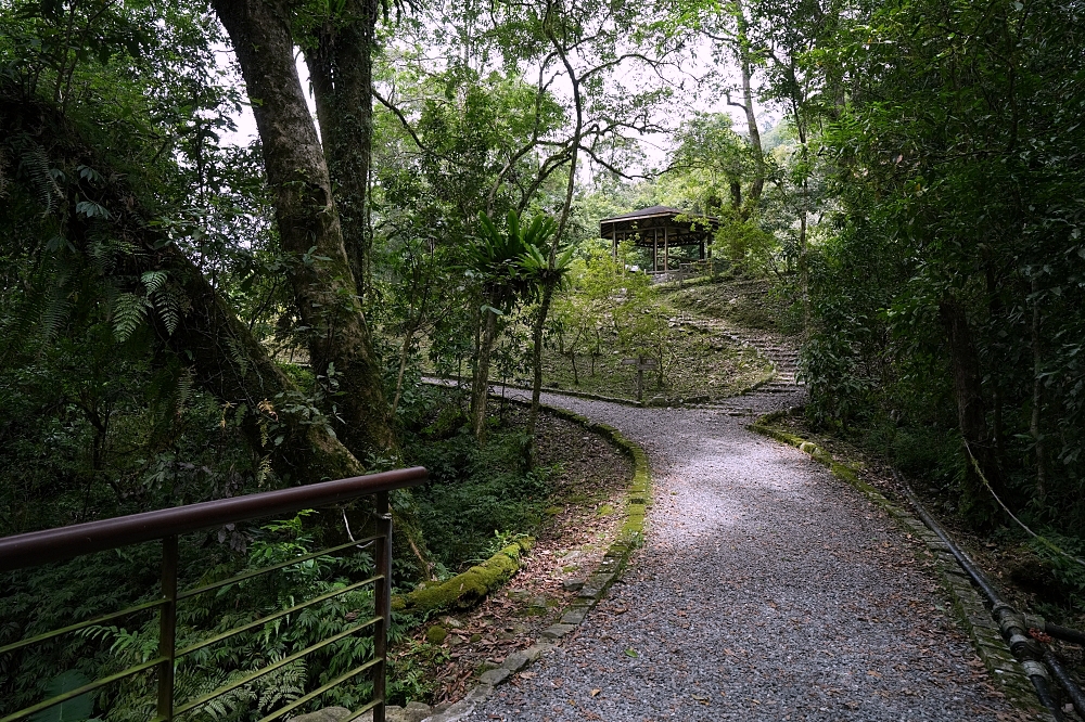 【福山植物園一日遊】森林系療癒秘境！免門票需預約，看正宗福山池與野生動物 @捲捲頭 ♡ 品味生活