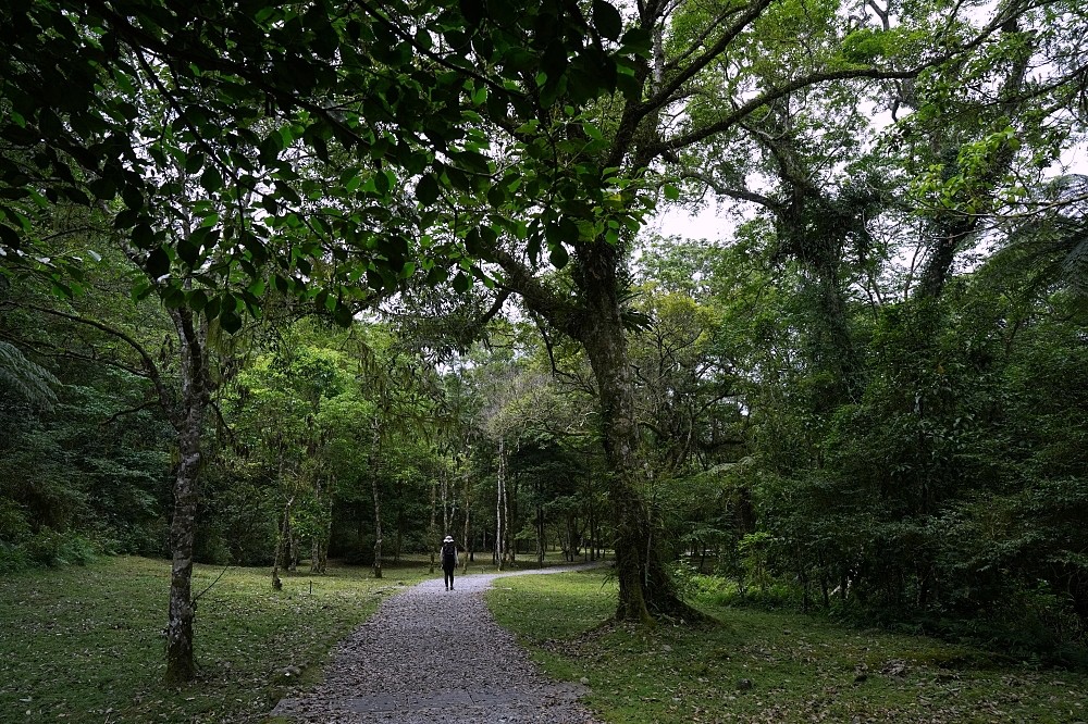 【福山植物園一日遊】森林系療癒秘境！免門票需預約，看正宗福山池與野生動物 @捲捲頭 ♡ 品味生活