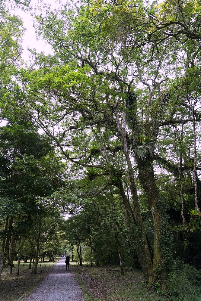 【福山植物園一日遊】森林系療癒秘境！免門票需預約，看正宗福山池與野生動物 @捲捲頭 ♡ 品味生活