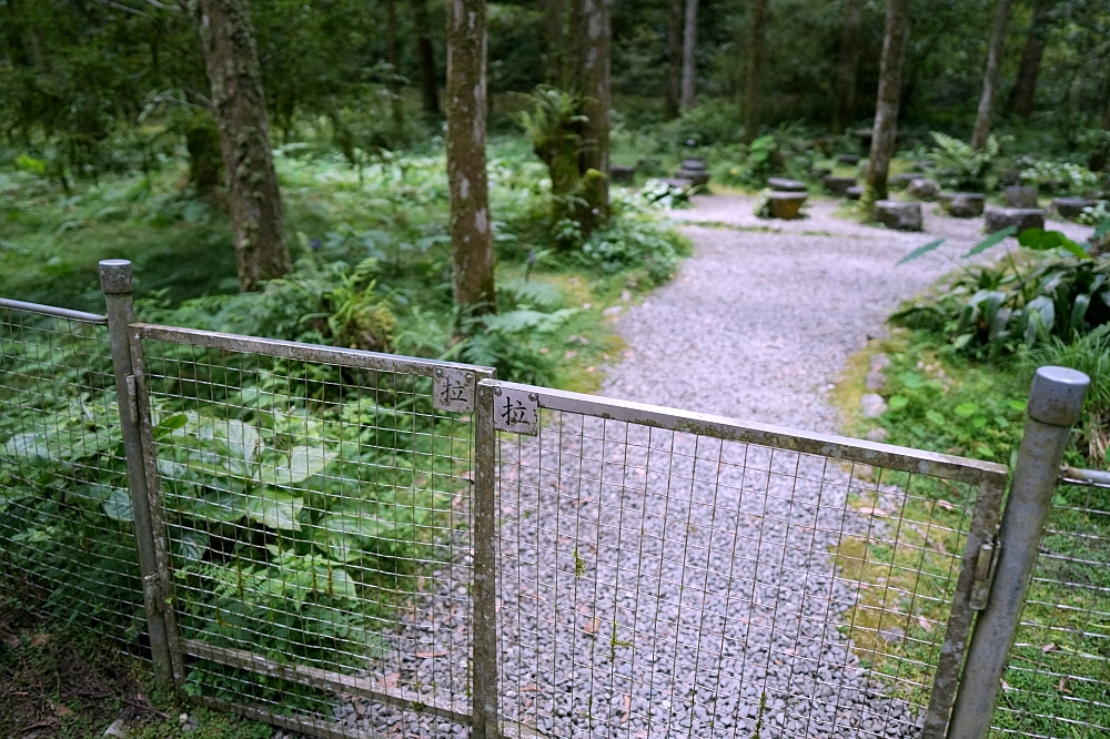 【福山植物園一日遊】森林系療癒秘境!免門票需預約,看正宗福山池與野生動物 @捲捲頭 ♡ 品味生活 【福山植物園一日遊】森林系療癒秘境!免門票需預約,看正宗福山池與野生動物 @捲捲頭 ♡ 品味生活