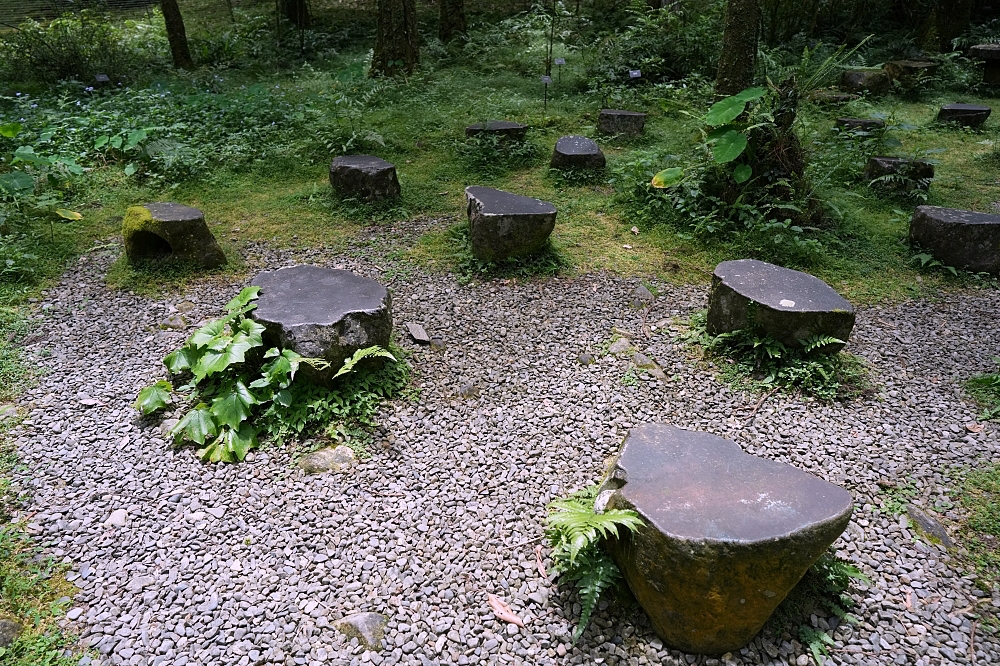 【福山植物園一日遊】森林系療癒秘境！免門票需預約，看正宗福山池與野生動物 @捲捲頭 ♡ 品味生活