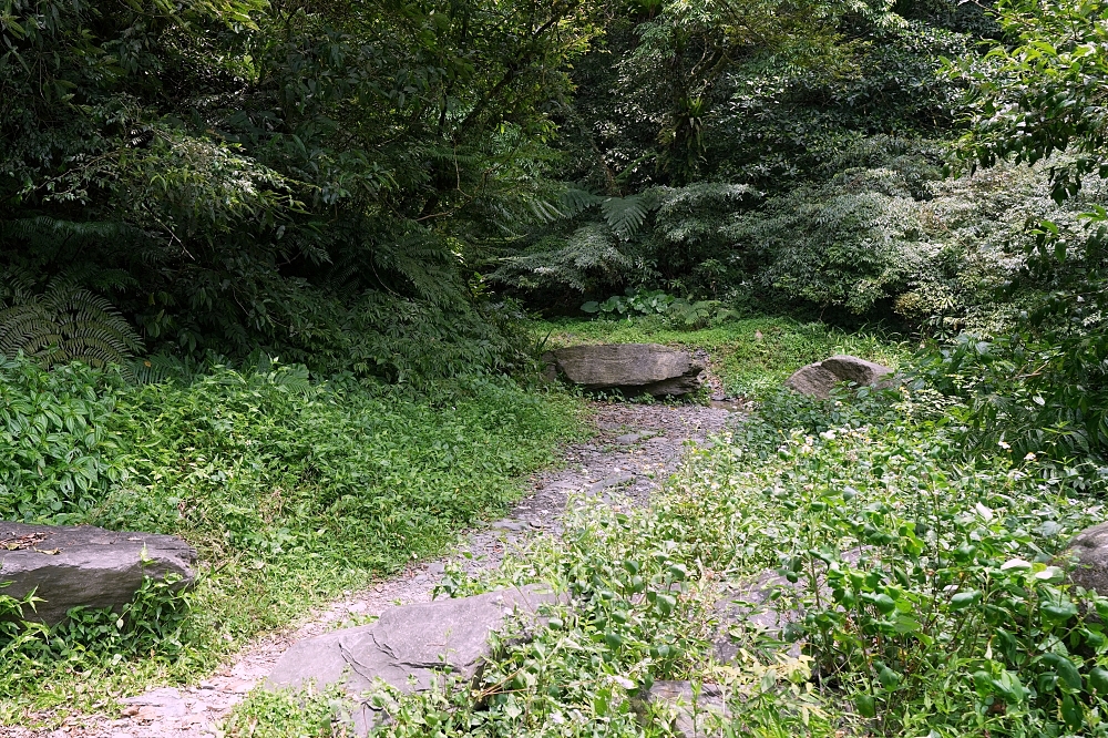【雙連埤圳頭溪上游】宜蘭隱藏版避暑秘境！走路5分鐘到溪邊，福山植物園順遊推薦 @捲捲頭 ♡ 品味生活